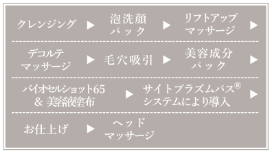 クレンジング→泡洗顔パック→リフトアップマッサージ→吸引→美容成分パック(フットマッサージ付き)→サイトプラズムパス®システム(エレクトロポレーション)→ハンド&アームマッサージ→お仕上げ→ヘッドマッサージ